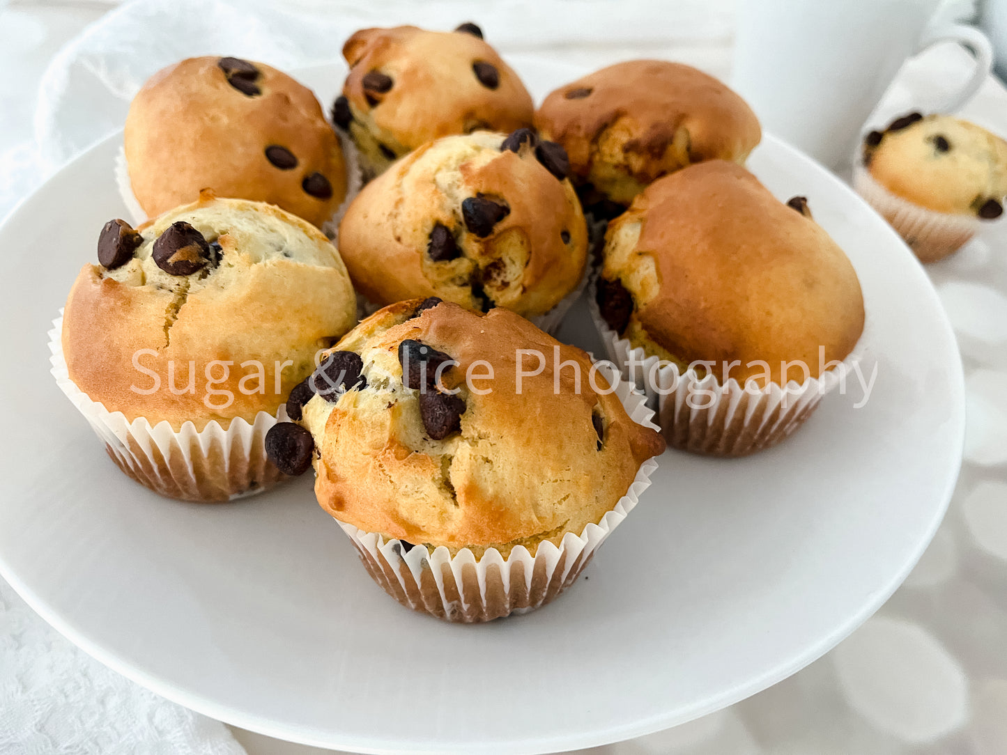 Chocolate Chip Muffins on Lilac Ash Bokeh